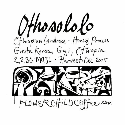 FLOWER CHILD - Othosololo | Ethiopia - Honey - Ethiopian Landraces