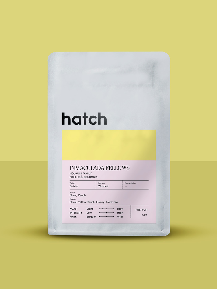 HATCH - Inmaculada Fellows | Colombia - Washed - Geisha