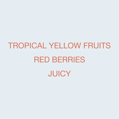 KOPPI - Karinga AA | Kenya - Washed - SL28, SL34