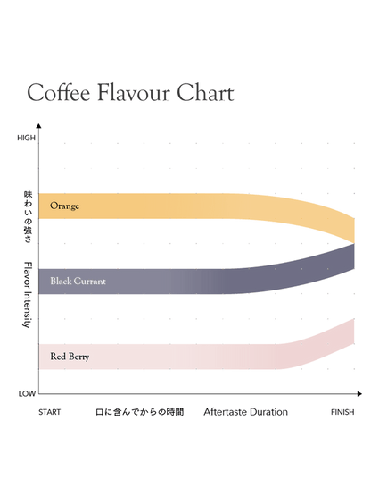 KURASU - Kamviu AB | Kenya - Washed - SL28, Ruiru11, Batian