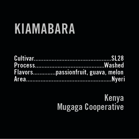 APOLLON'S GOLD - Kiamabara | Kenya - Washed - SL28