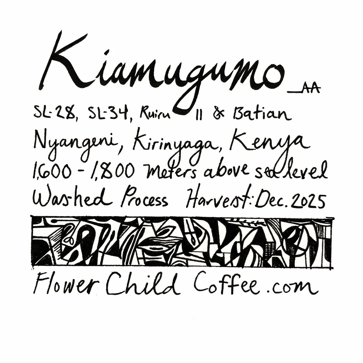 FLOWER CHILD - Kiamugumo | Kenya - Washed - SL28, SL34, Ruiru11, Batian