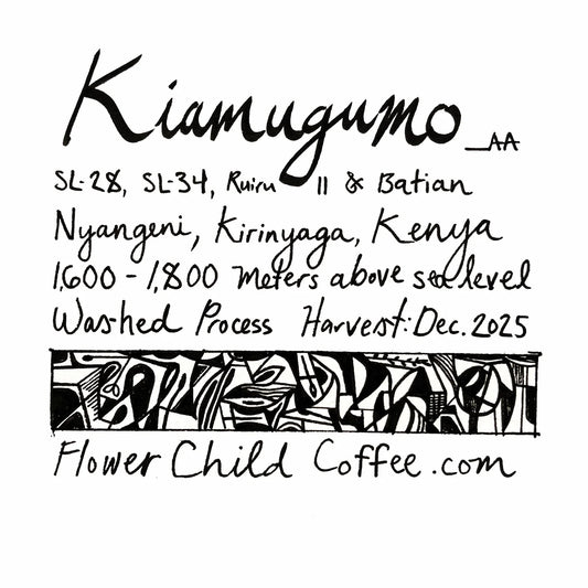 FLOWER CHILD - Kiamugumo | Kenya - Washed - SL28, SL34, Ruiru11, Batian