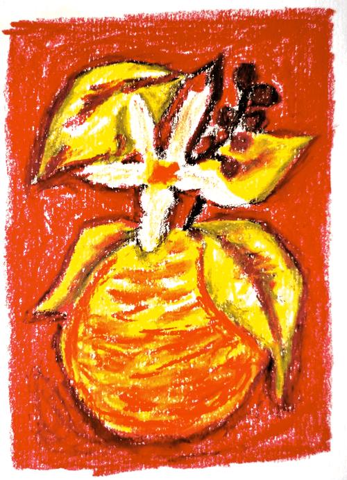 TAITH - Lot 20 'The Lab' | Kenya - Anaerobic Natural Orange Co-Ferment - Ruiri11, Batian, SL28