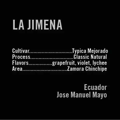 APOLLON'S GOLD - La Jimena | Ecuador - Natural - Typica Mejorado