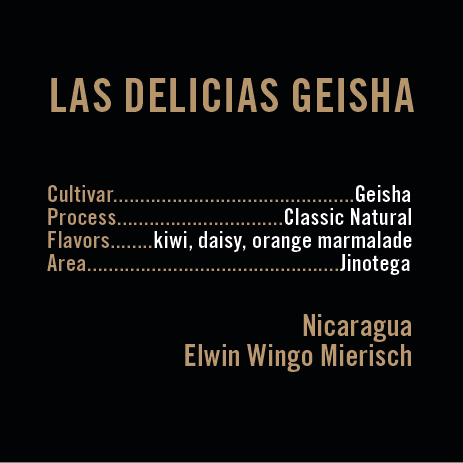 APOLLON'S GOLD - Las Delicias Geisha | Nicaragua - Natural - Geisha