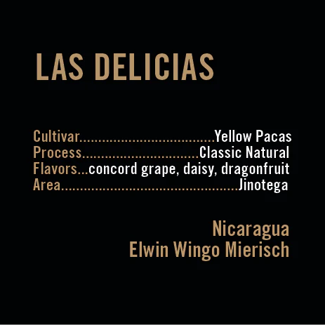 APOLLON'S GOLD - Las Delicias Yellow Pacas | Nicaragua - Natural - Yellow Pacas