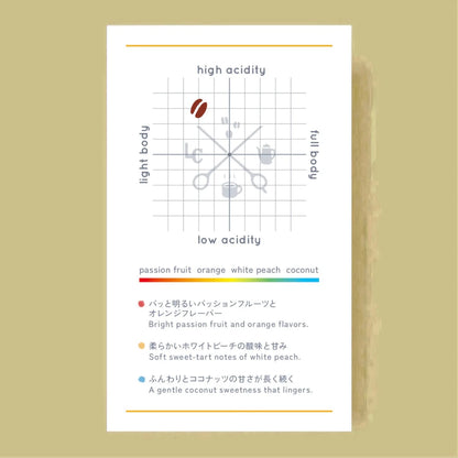 LILO - Colorful Blend ~2026 Summer~