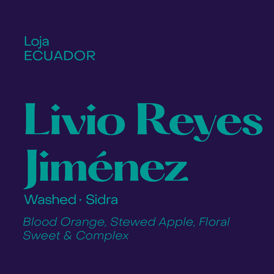 SUBTEXT - Livio Reyes Jimenez | Ecuador - Washed - Sidra