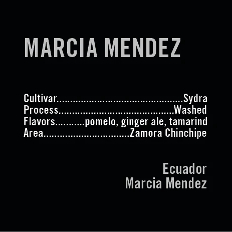 APOLLON'S GOLD - Marcia Mendez | Ecuador - Washed - Sydra