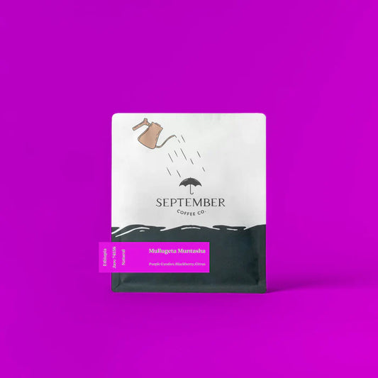 SEPTEMBER - Mullugeta Muntasha | Ethiopia - Natural - Jarc 74158