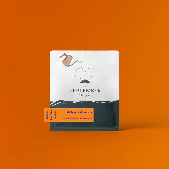 SEPTEMBER - Mullugeta Muntasha | Ethiopia - Washed - Jarc 74158