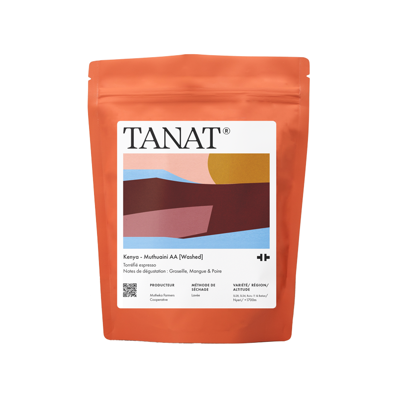 TANAT - Gathaithi AA [Washed] {Filter} | Kenya - Washed - SL28, SL34, Ruiru11, Batian