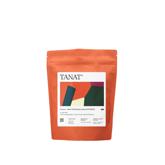 TANAT - Altieri Tom [Gesha Natural DF #2901] Filter | Panama - Natural Dry Fermentation