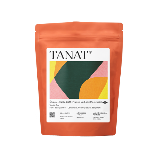 TANAT - Banko Gotiti Filter [Natural Carbonic Maceration] | Ethiopia - Carbonate Maceration - Heirloom