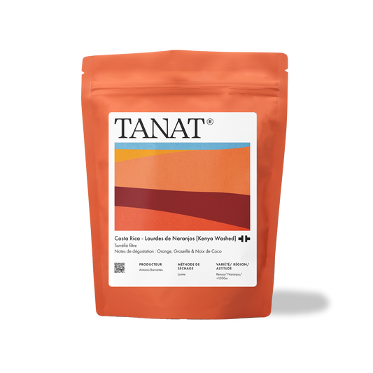 TANAT - Lourdes De Naranjos | Costa Rica - Washed - Kenya