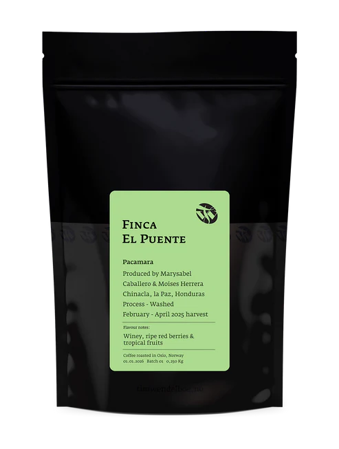 TIM WENDELBOE - Finca El Puente | Honduras - Washed - Pacamara