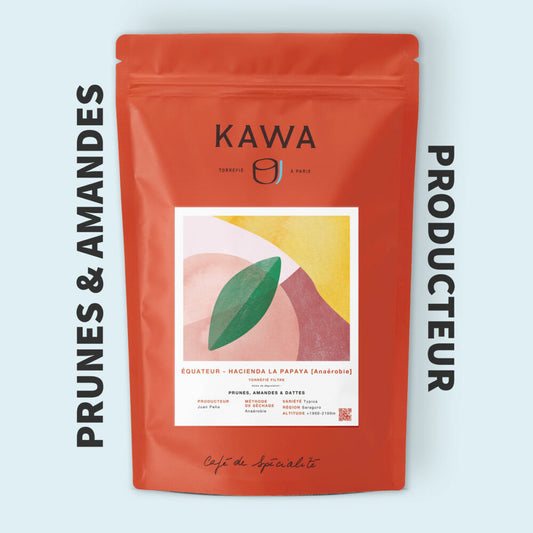 KAWA - Hacienda La Papaya - Ecuador - Anaerobic - Typica Mejorado