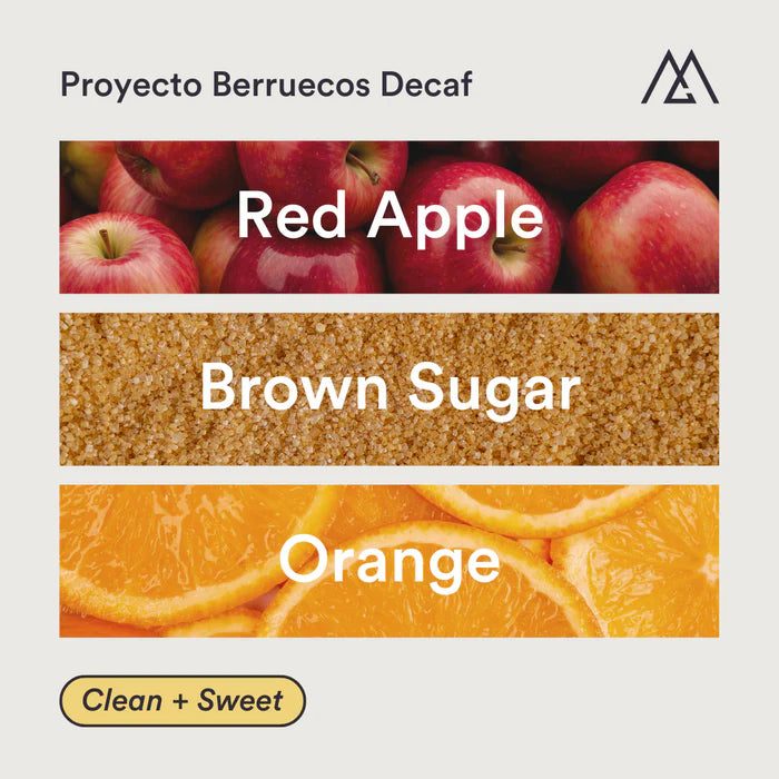 MONOGRAM - Decaf - Proyecto Berruecos - Colombia - Sugar Cane Decaf - Bourbon, Caturra, Villa Sarchi