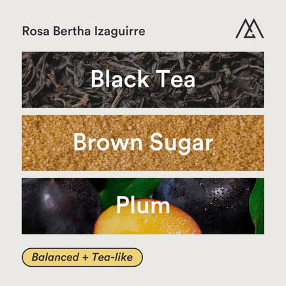 MONOGRAM - Rosa Bertha Izaguirre Filter | Honduras - Washed - Pacas, Catimor