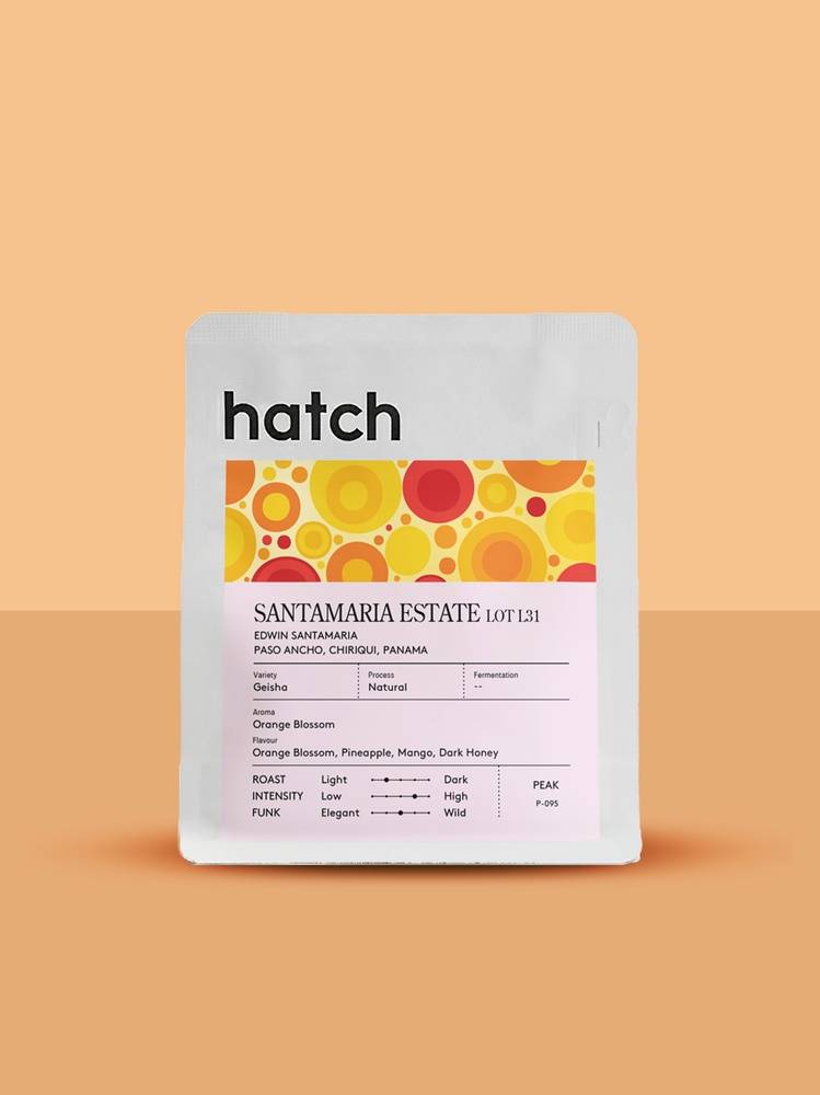 HATCH - Santamaria Estate Lot 31 | Panama - Natural - Geisha