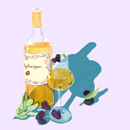 HYDRANGEA - La Florida CM Sidra | Ecuador - Carbonic Maceration Natural - Sidra