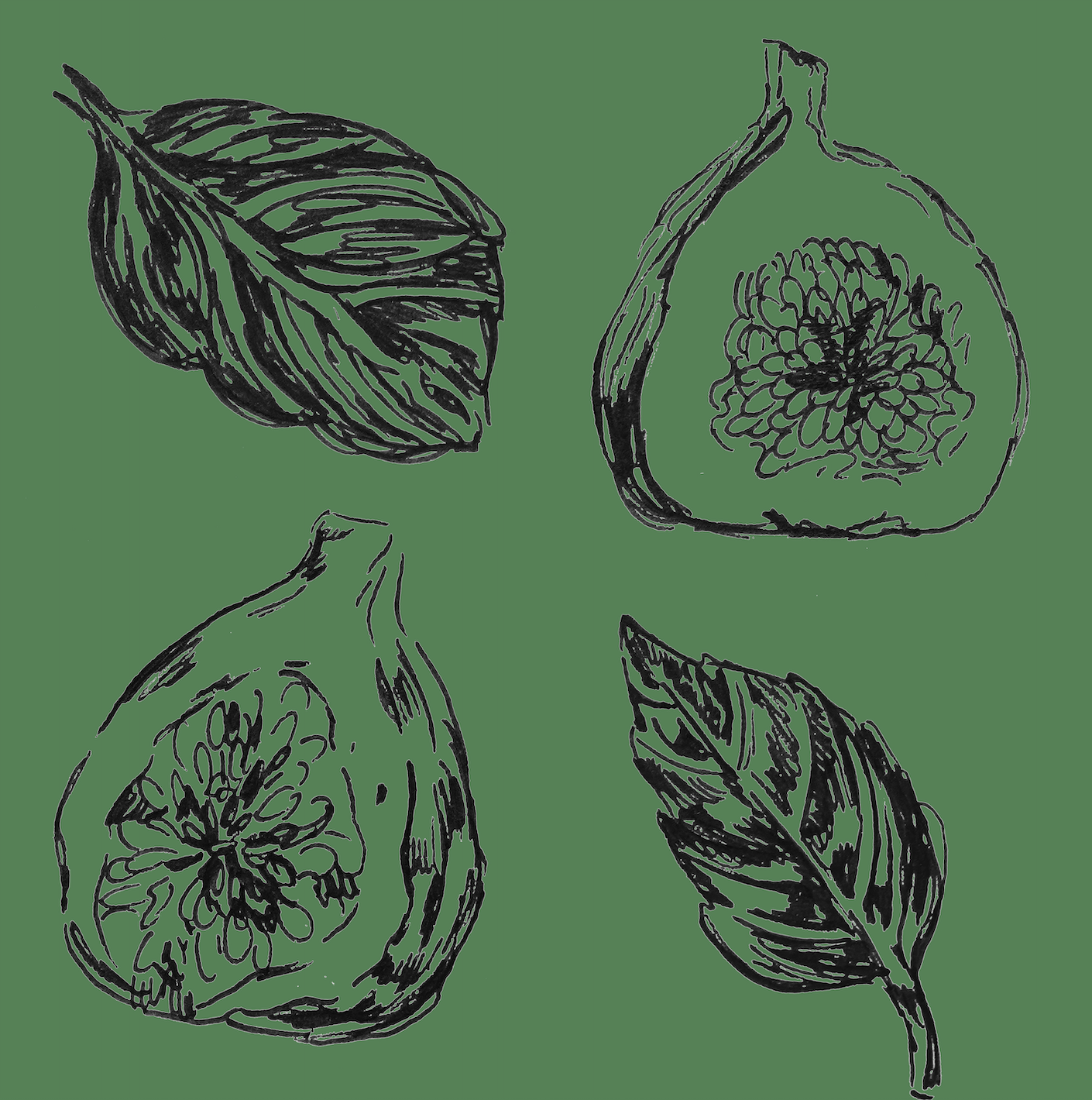 TAITH - Blackmoon Chiroso | Panama - Anaerobic Natural - Chiroso