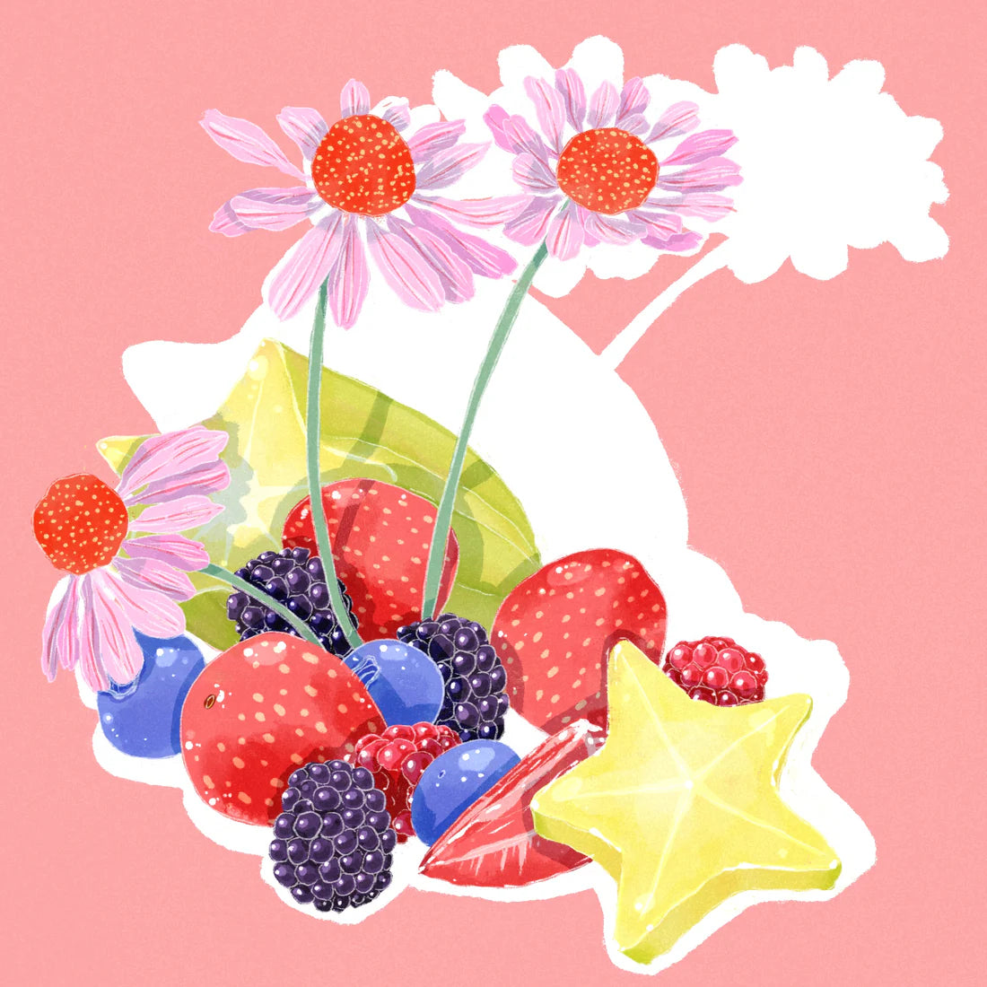 HYDRANGEA - Inmaculada Fellows PB | Colombia - Honey - Pink Bourbon