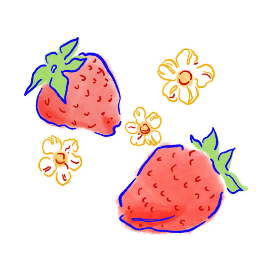 HYDRANGEA - Juicy Strawberry | Colombia - Anaerobically Co-Fermented with Strawberries - Field Blend