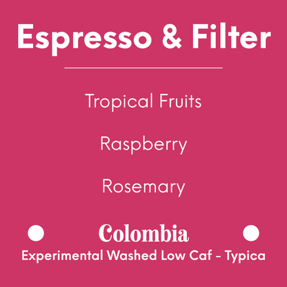 DAK - Sweet Dreams - Colombia - Experimental Washed Low Caf - Typica