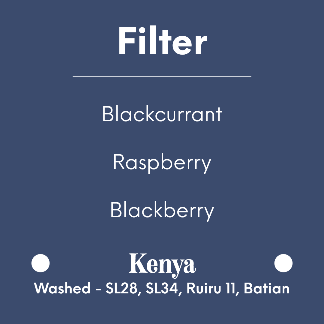 coolbeans Specialty Coffee Toronto Canada COFFEE COLLECTIVE - Kieni - Kenya - Washed - SL28, SL34, Ruiru 11, Batian