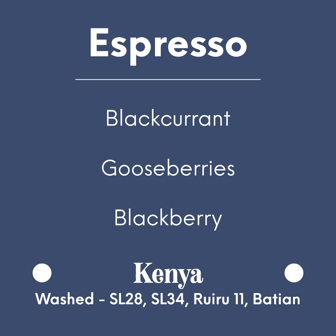 COFFEE COLLECTIVE - Kieni Espresso - Kenya - Washed - SL28, SL34, Ruiru 11, Batian