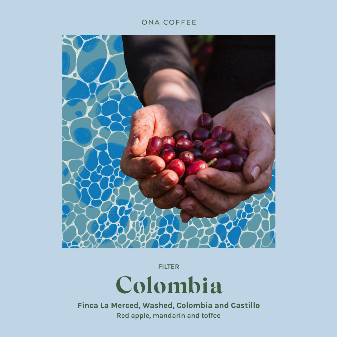 coolbeans Specialty Coffee Toronto Canada ONA Coffee - Colombia Finca La Merced - Colombia - Washed - Colombia, Castillo