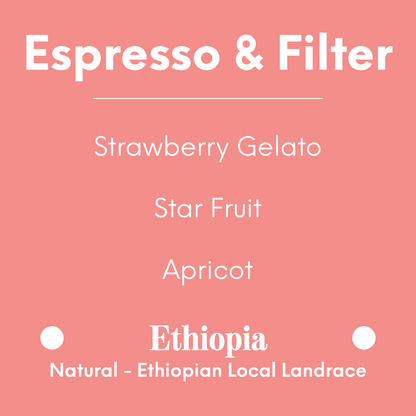 coolbeans Specialty Coffee Toronto Canada DAK Coffee - Strawberry Kiss - Ethiopia - Natural - Ethiopian Local Landrace