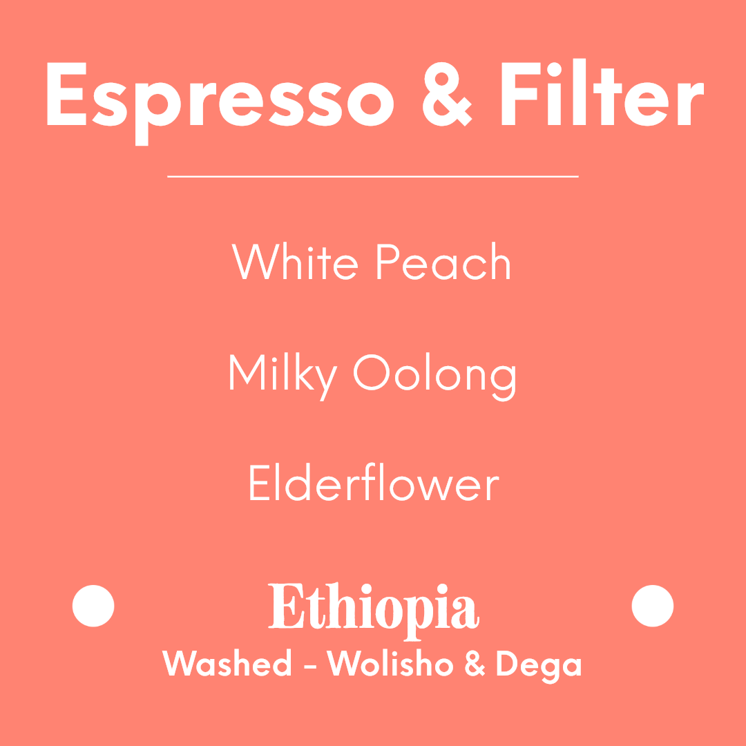 coolbeans Specialty Coffee DAK Coffee - Fluffy Peach - Ethiopia - Washed - Wolisho & Dega