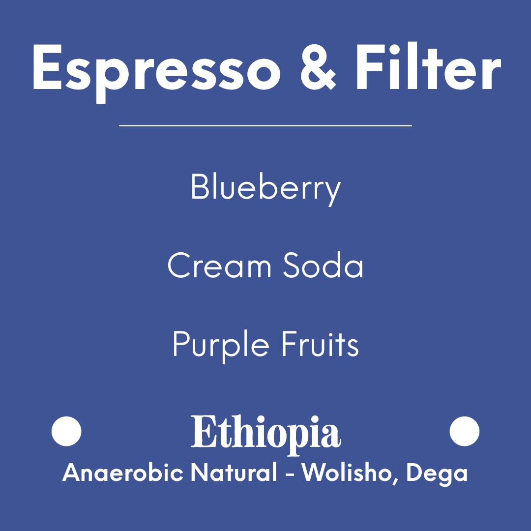 coolbeans Specialty Coffee Toronto Canada DAK Coffee - Blueberry Boom - Ethiopia - Anaerobic Natural - Wolisho, Dega