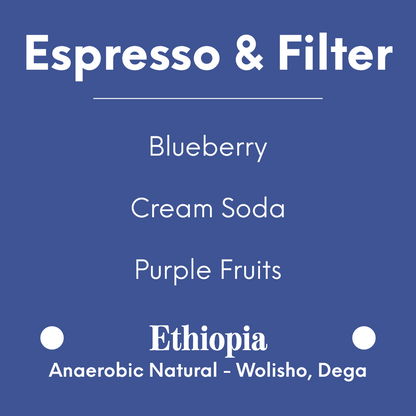 coolbeans Specialty Coffee Toronto Canada DAK Coffee - Blueberry Boom - Ethiopia - Anaerobic Natural - Wolisho, Dega