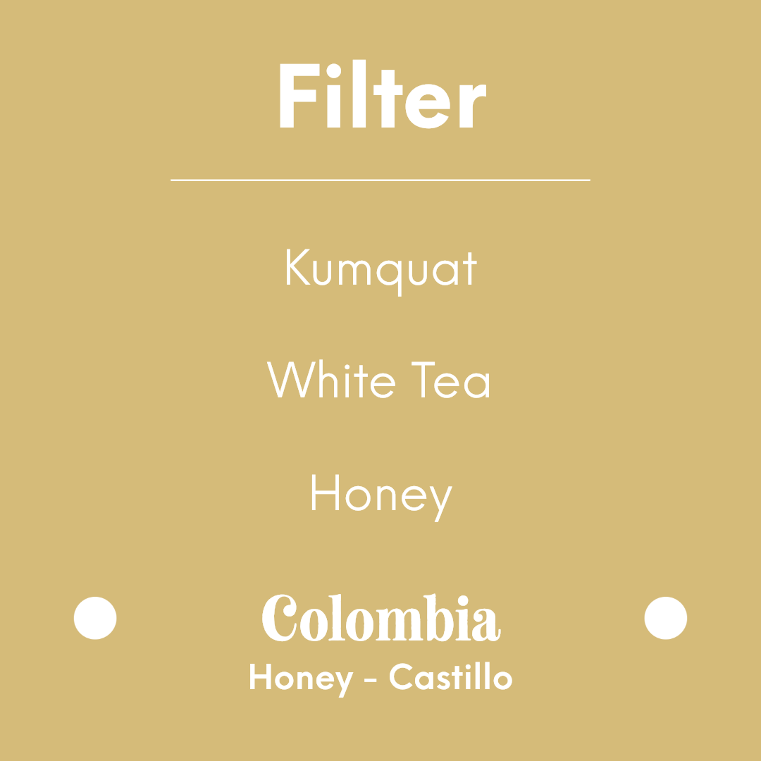 coolbeans Specialty Coffee Toronto Canada Hatch Coffee Roasters - El Paraiso Chiroso Honey - Colombia - Honey - Castillo