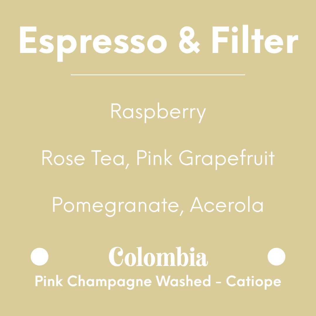 coolbeans Specialty Coffee Toronto Canada LILO Coffee Roaster - El Mirador - Colombia - Pink Champagne Washed - Catiope