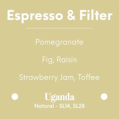 coolbeans Specialty Coffee Toronto Canada LILO Coffee Roaster - Rwenzori Donkey - Uganda - Natural - SL14, SL28