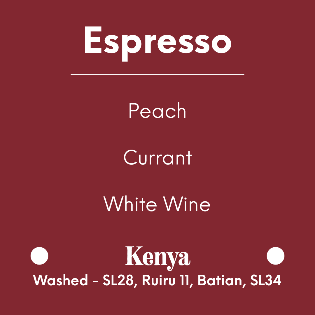 coolbeans Specialty Coffee Toronto Canada PRODIGAL - Komothai AA Espresso - Kenya - Washed - SL28, Ruiru 11, Batian, SL34