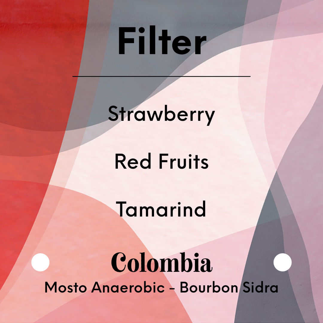 KAWA - Wilder Lazo - Colombia - Mosto Anaerobic - Bourbon Sidra