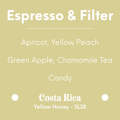 LILO - El Venado - Costa Rica - Yellow Honey - SL28