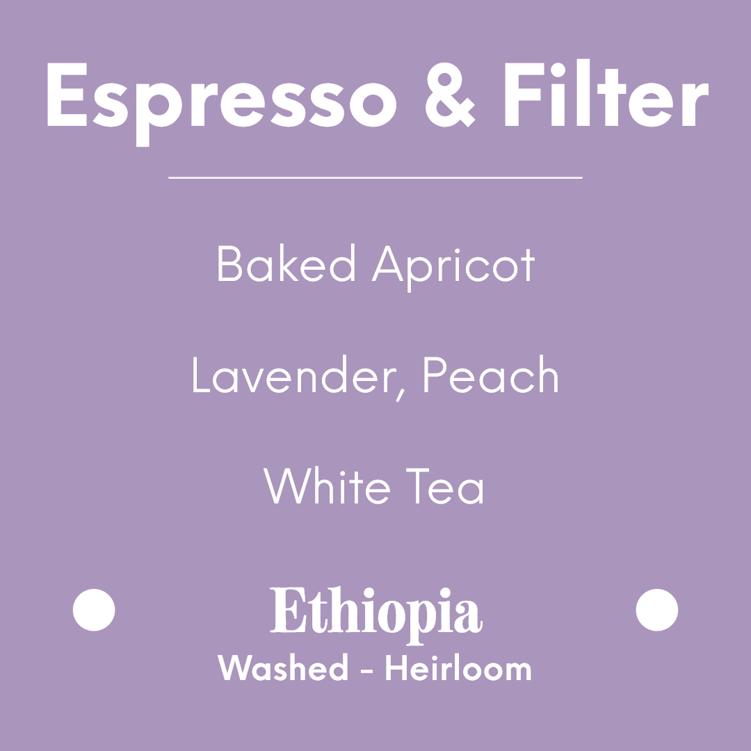 DAK - Abricotine - Ethiopia - Washed - Heirloom