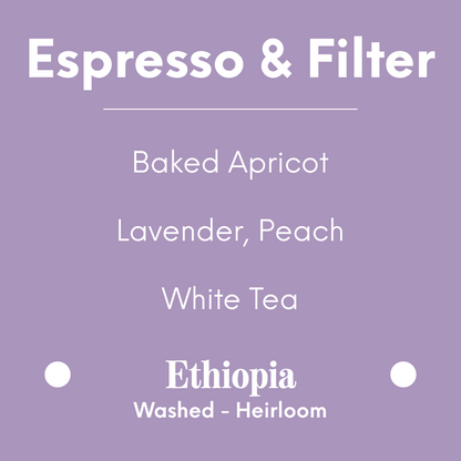 DAK - Abricotine - Ethiopia - Washed - Heirloom