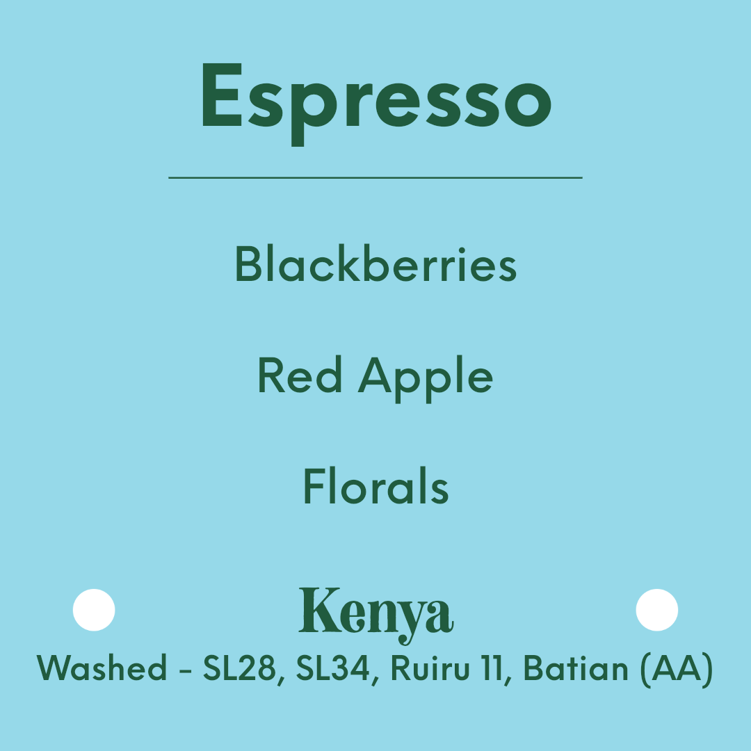 APRIL - Kamavindi - Kenya - Washed - SL28, SL34, Ruiru 11, Batian (AA)