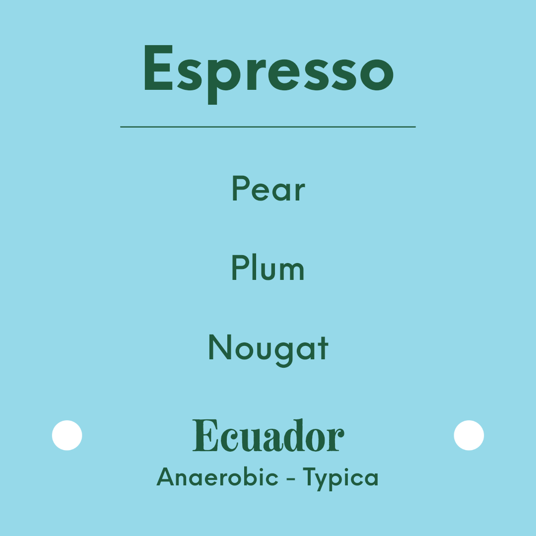 APRIL - Pillcocaja - Ecuador - Anaerobic - Typica