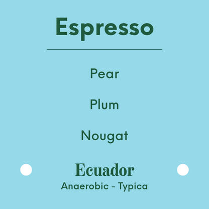 APRIL - Pillcocaja - Ecuador - Anaerobic - Typica