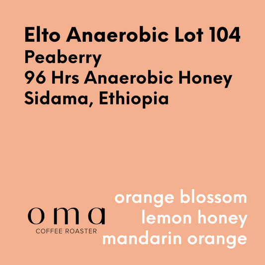 OMA - Elto Anaerobic Lot 104 - Ethiopia - 96 Hrs Anaerobic Honey - Peaberry