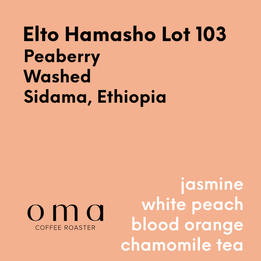 OMA - Elto Hamasho Lot 103 - Ethiopia - Washed - Peaberry